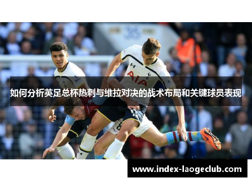 如何分析英足总杯热刺与维拉对决的战术布局和关键球员表现