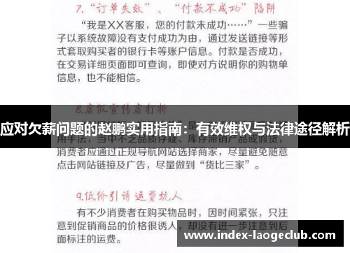 应对欠薪问题的赵鹏实用指南：有效维权与法律途径解析