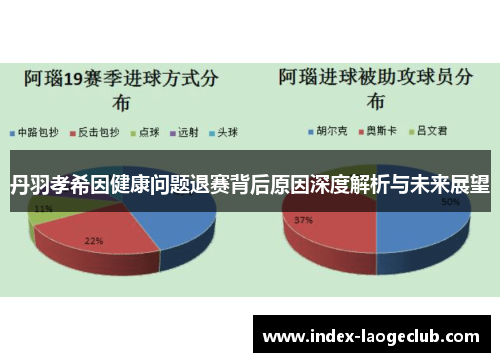 丹羽孝希因健康问题退赛背后原因深度解析与未来展望