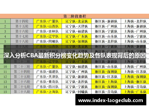 深入分析CBA最新积分榜变化趋势及各队表现背后的原因