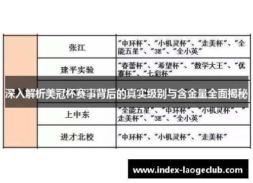 深入解析美冠杯赛事背后的真实级别与含金量全面揭秘