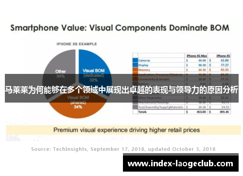 马莱莱为何能够在多个领域中展现出卓越的表现与领导力的原因分析