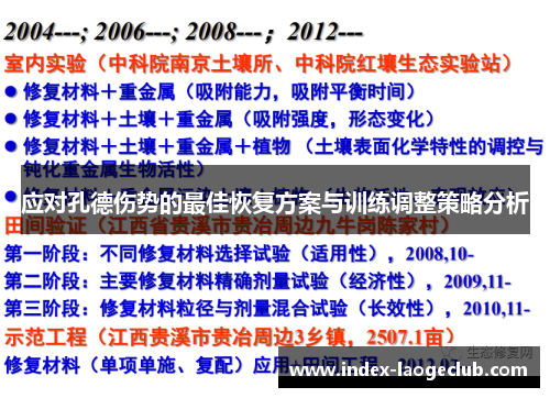 应对孔德伤势的最佳恢复方案与训练调整策略分析 应对孔德伤势的最佳恢复方案与训练调整策略分析