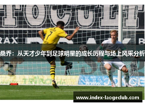 桑乔：从天才少年到足球明星的成长历程与场上风采分析
