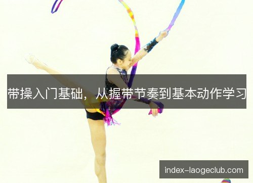 带操入门基础，从握带节奏到基本动作学习